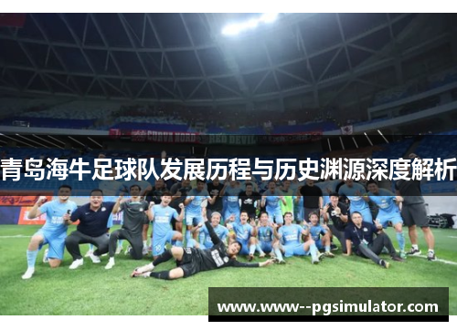 青岛海牛足球队发展历程与历史渊源深度解析