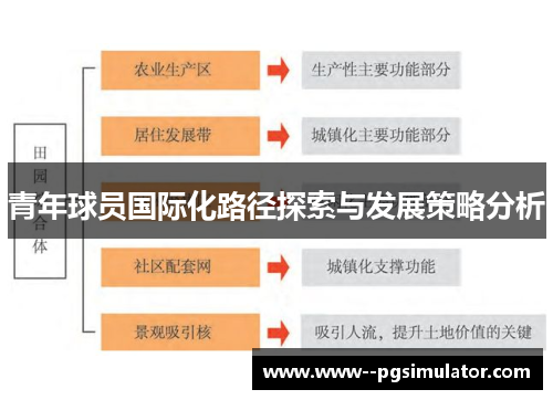 青年球员国际化路径探索与发展策略分析