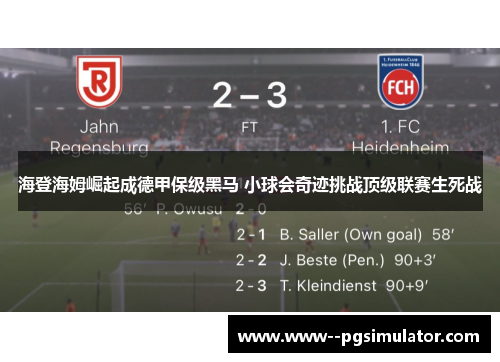 海登海姆崛起成德甲保级黑马 小球会奇迹挑战顶级联赛生死战