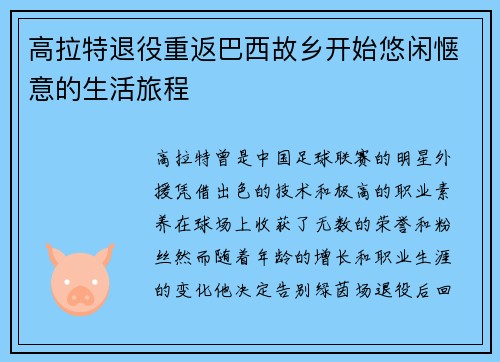 高拉特退役重返巴西故乡开始悠闲惬意的生活旅程 高拉特退役重返巴西故乡开始悠闲惬意的生活旅程